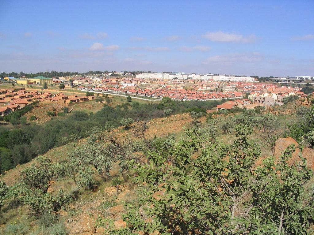 Guest House Macauly Johannesburg Zewnętrze zdjęcie